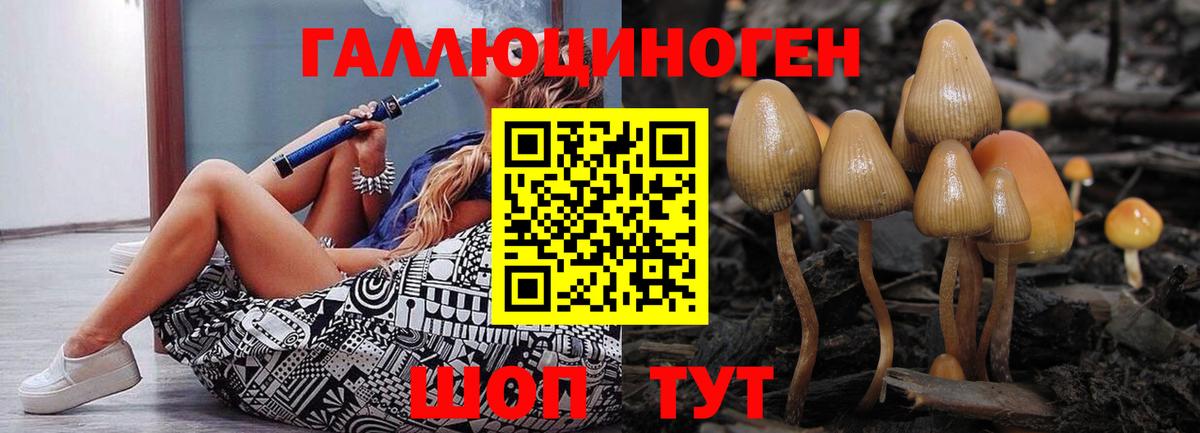 Псилоцибиновые грибы Psilocybine cubensis Уварово